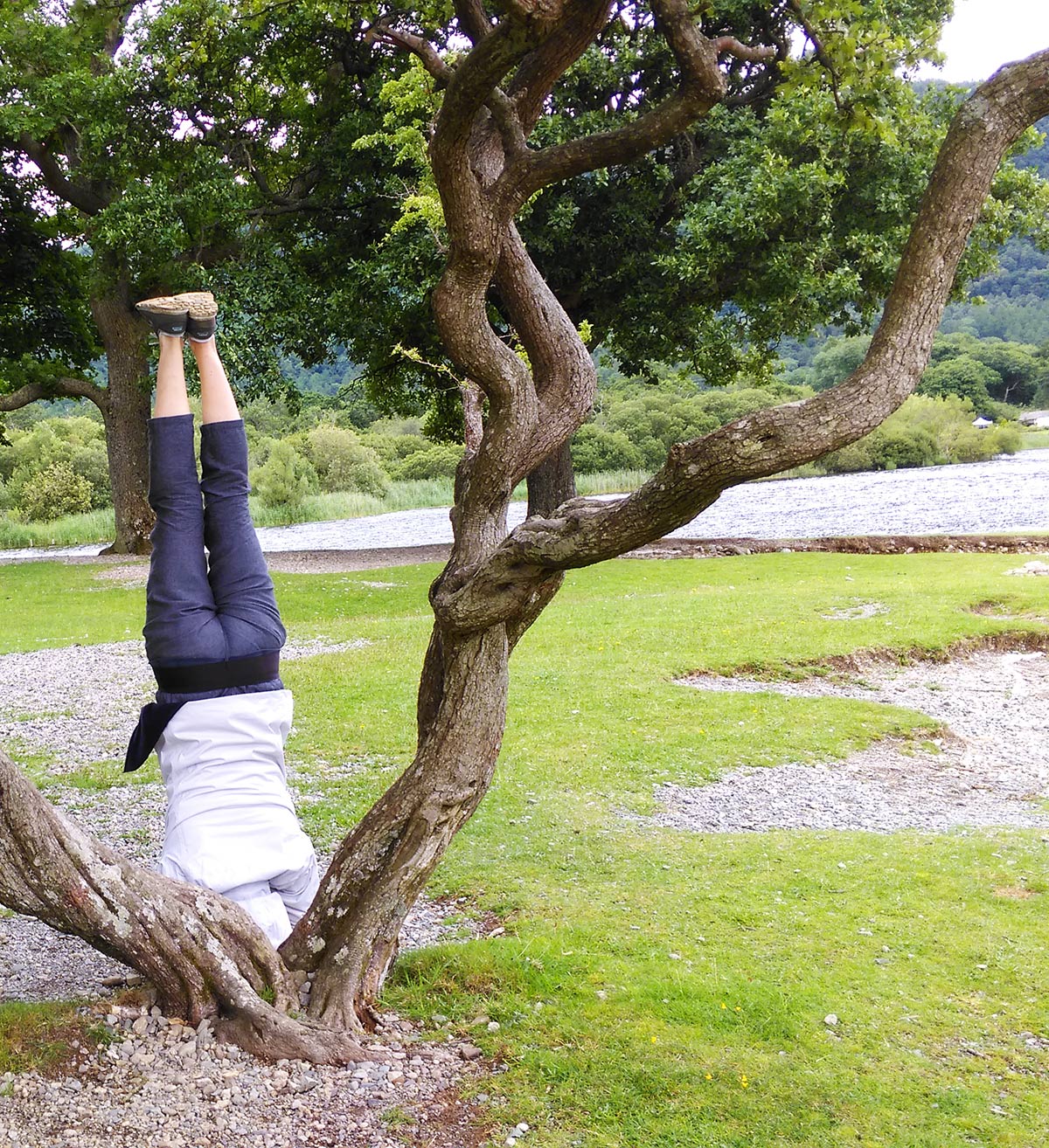 Yoga in nature